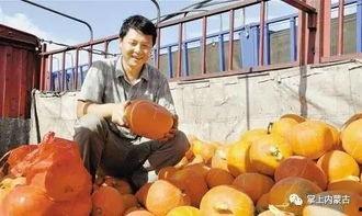 内蒙古拉拉圈网红吃瓜事件,揭秘网络舆论背后的真相