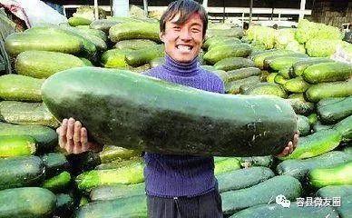 50吃瓜网,网络舆论场的新势力崛起