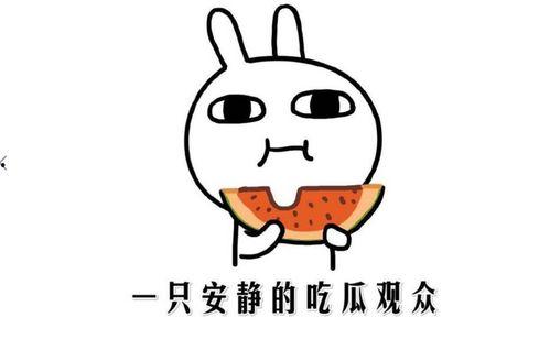 抖音吃瓜的有哪些网红,揭秘热门网红背后的故事