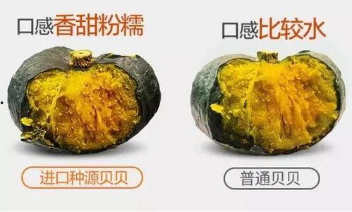 7w粉网红吃瓜,7万粉丝网红揭秘娱乐圈吃瓜大事件