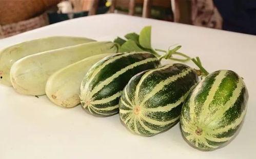 网暴网红吃瓜图片